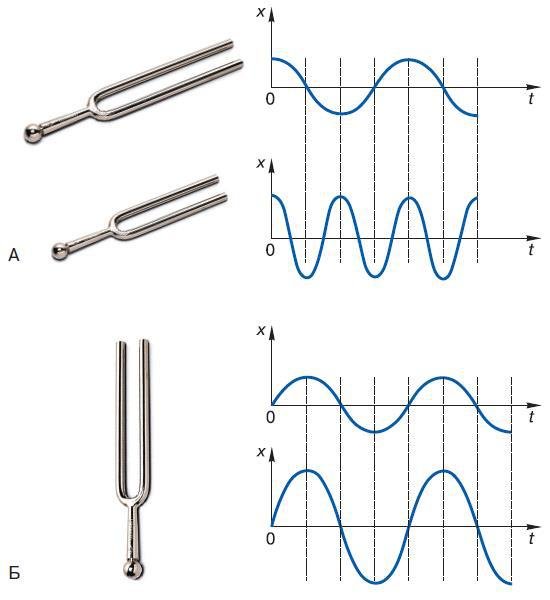 Естествознание. Базовый уровень. 10 класс - i_086.jpg