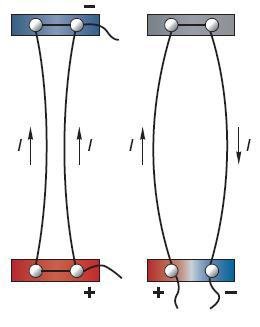 Естествознание. Базовый уровень. 10 класс - i_099.jpg