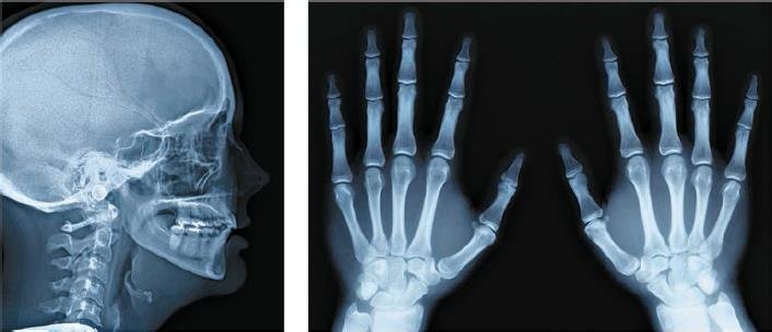 Естествознание. Базовый уровень. 10 класс - i_106.jpg