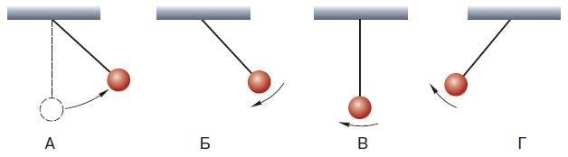 Естествознание. Базовый уровень. 10 класс - i_111.jpg