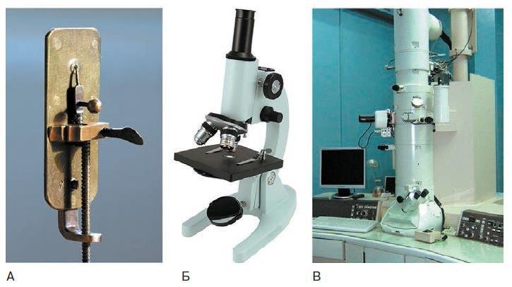 Естествознание. Базовый уровень. 10 класс - i_119.jpg