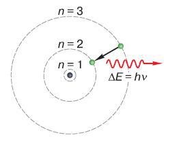 Естествознание. Базовый уровень. 10 класс - i_136.jpg