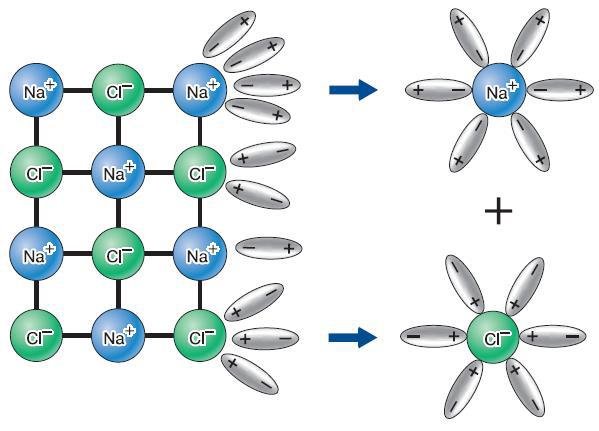 Естествознание. Базовый уровень. 10 класс - i_151.jpg