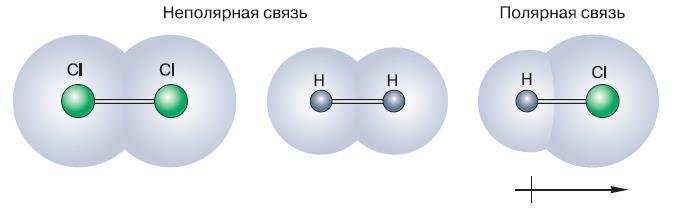 Естествознание. Базовый уровень. 10 класс - i_154.jpg