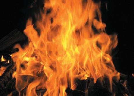 Естествознание. Базовый уровень. 10 класс - i_160.jpg