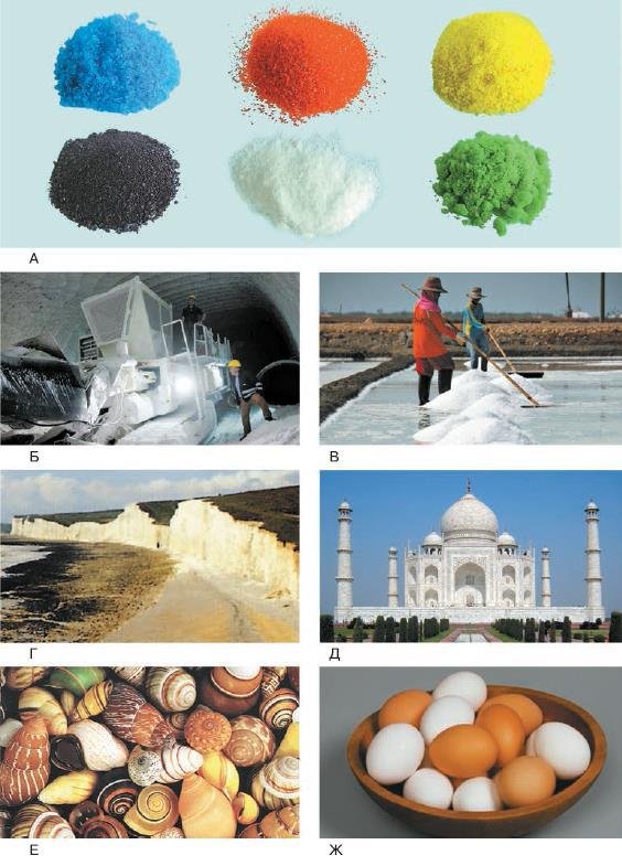 Естествознание. Базовый уровень. 10 класс - i_163.jpg