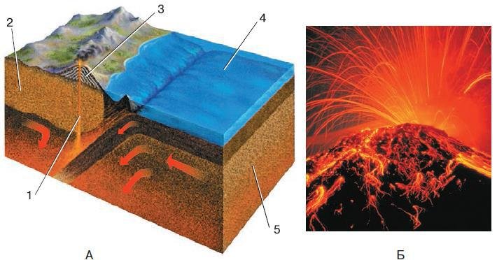 Естествознание. Базовый уровень. 10 класс - i_201.jpg