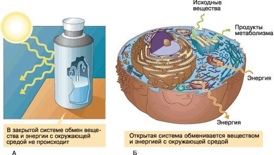 Биология. Общая биология. Базовый уровень. 10 класс - i_005.jpg