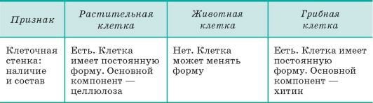 Биология. Общая биология. Базовый уровень. 10 класс - i_040.jpg