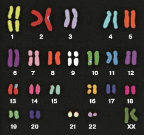 Биология. Общая биология. Базовый уровень. 10 класс - i_044.jpg