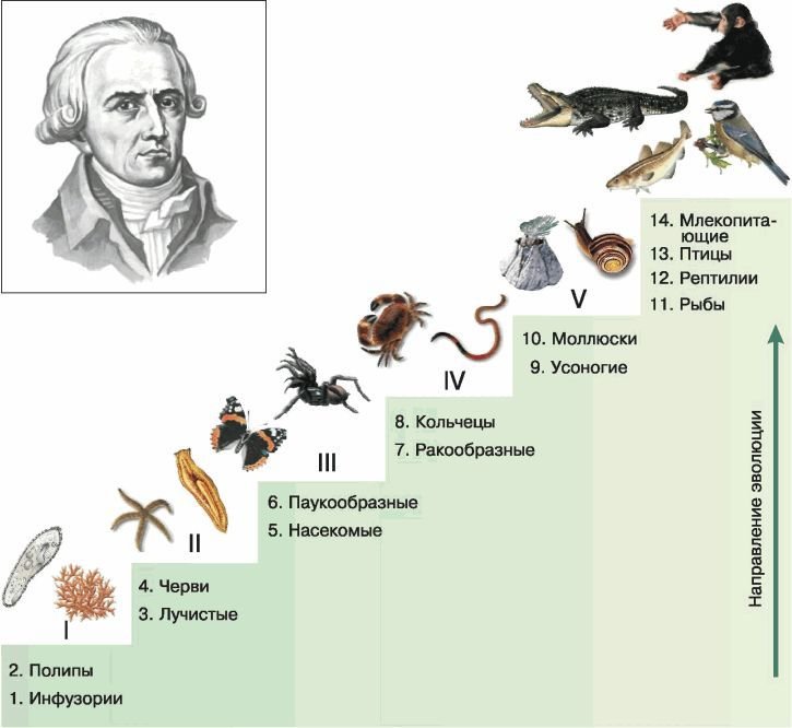 Биология. Общая биология. Базовый уровень. 11 класс - i_005.jpg