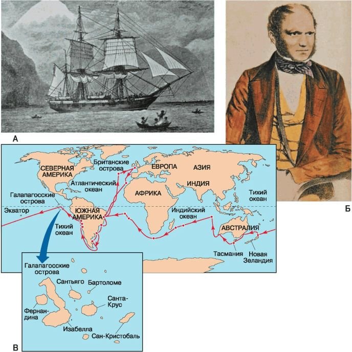 Биология. Общая биология. Базовый уровень. 11 класс - i_008.jpg