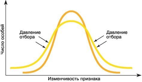 Биология. Общая биология. Базовый уровень. 11 класс - i_022.jpg