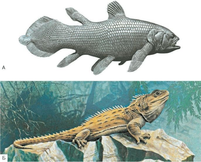 Биология. Общая биология. Базовый уровень. 11 класс - i_023.jpg