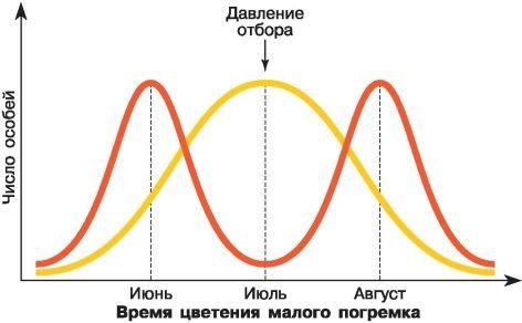 Биология. Общая биология. Базовый уровень. 11 класс - i_024.jpg