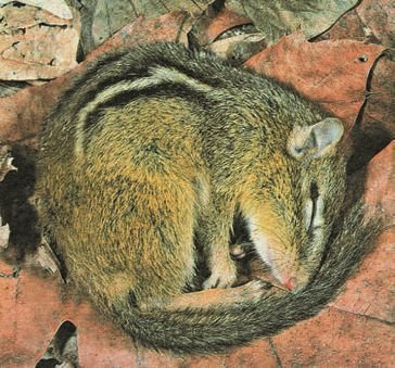 Биология. Общая биология. Базовый уровень. 11 класс - i_030.jpg