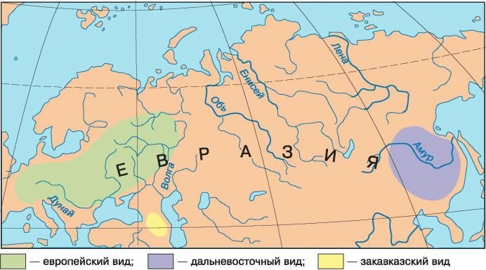 Биология. Общая биология. Базовый уровень. 11 класс - i_037.jpg