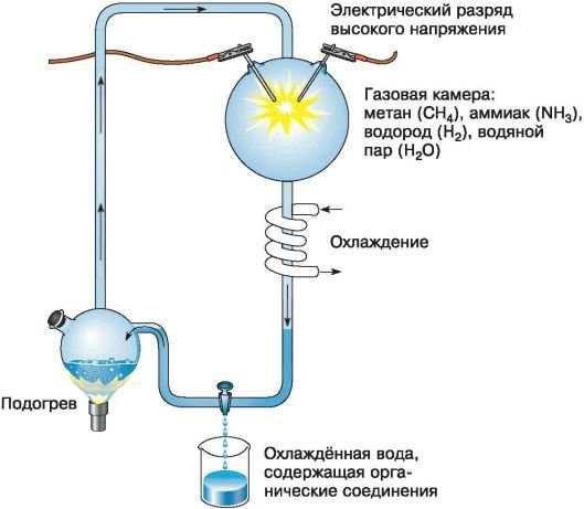 Биология. Общая биология. Базовый уровень. 11 класс - i_051.jpg