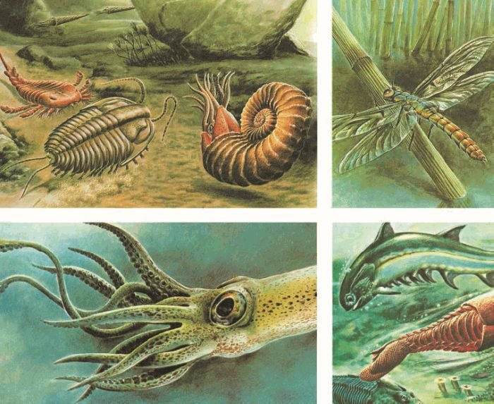 Биология. Общая биология. Базовый уровень. 11 класс - i_054.jpg