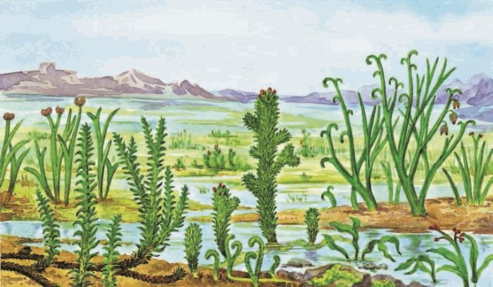 Биология. Общая биология. Базовый уровень. 11 класс - i_055.jpg