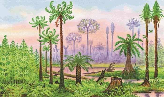 Биология. Общая биология. Базовый уровень. 11 класс - i_056.jpg