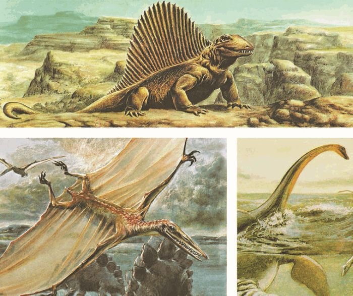 Биология. Общая биология. Базовый уровень. 11 класс - i_057.jpg