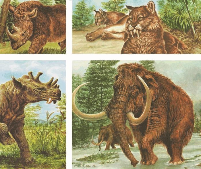 Биология. Общая биология. Базовый уровень. 11 класс - i_058.jpg