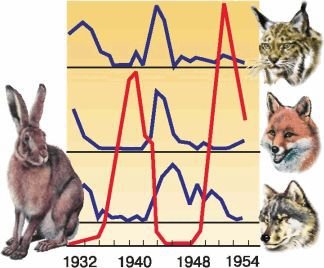 Биология. Общая биология. Базовый уровень. 11 класс - i_073.jpg