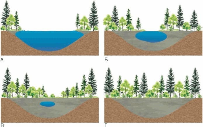 Биология. Общая биология. Базовый уровень. 11 класс - i_083.jpg