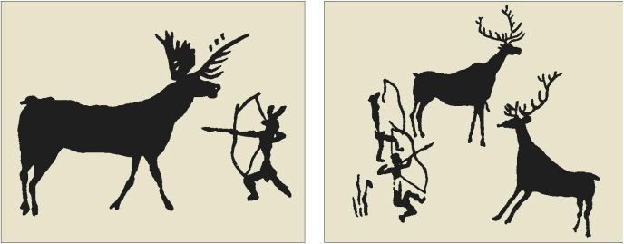 Биология. Общая биология. Базовый уровень. 11 класс - i_089.jpg