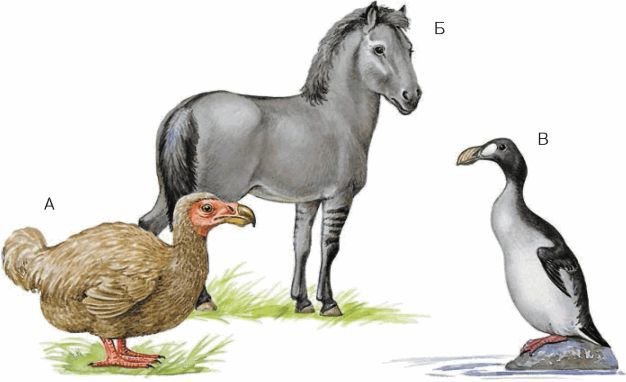 Биология. Общая биология. Базовый уровень. 11 класс - i_091.jpg