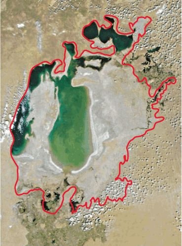 Биология. Общая биология. Базовый уровень. 11 класс - i_096.jpg