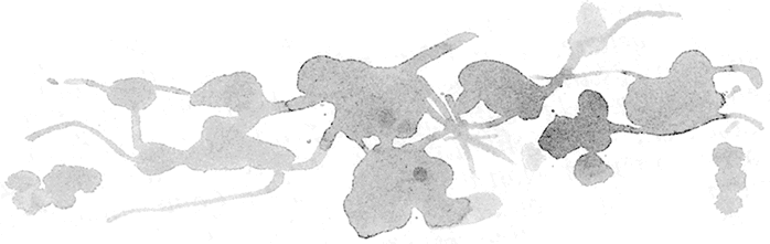 Диана, Купидон и Командор - i_011.png