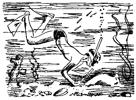 Дельфиний мыс - pic_11.png