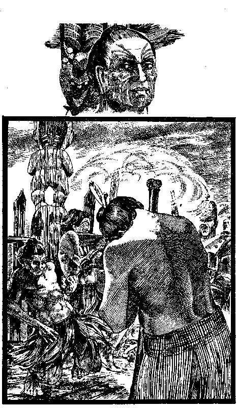 Птица войны - pic_11.png