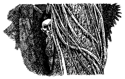 Птица войны - pic_8.png