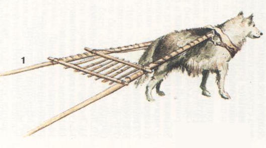 Индейцы Великих равнин - i_008.jpg