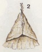 Индейцы Великих равнин - i_064.png