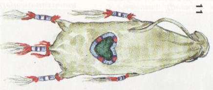 Индейцы Великих равнин - i_350.jpg