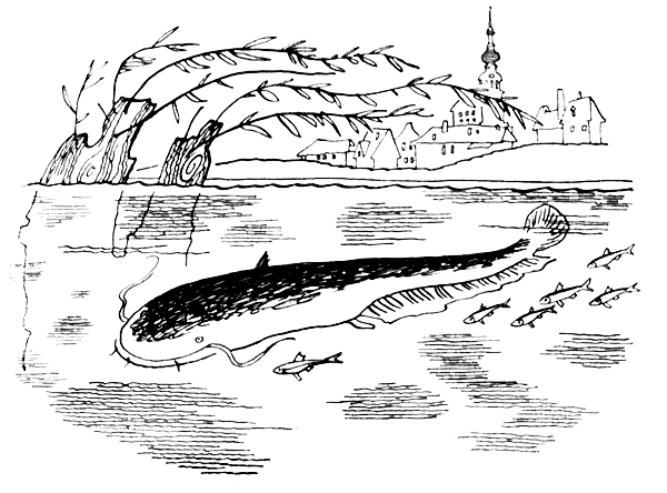 Роман из жизни уклейки - i_001.png