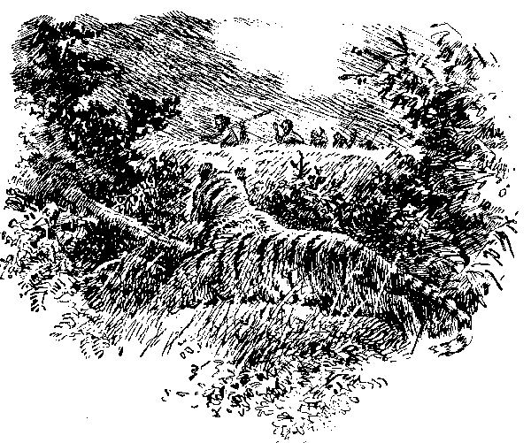 Борьба за огонь (илл. В. Добровольского) - pic_4.png