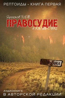 Книга Правосудие в Калиновке (СИ)