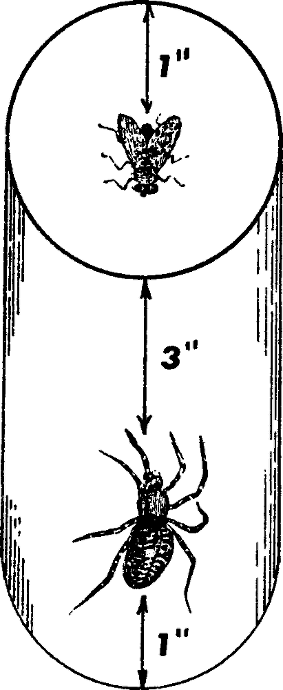 Звездные головоломки - img_39.png