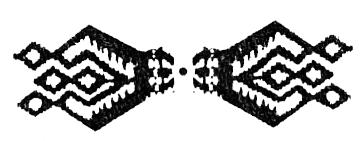 Охота за головами на Соломоновых островах - i_018.png