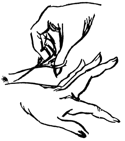 Охота за головами на Соломоновых островах - i_020.png