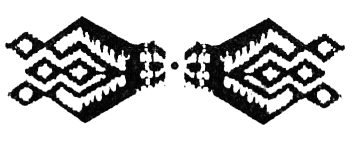 Охота за головами на Соломоновых островах - i_069.png