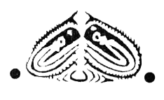 Охота за головами на Соломоновых островах - i_094.png