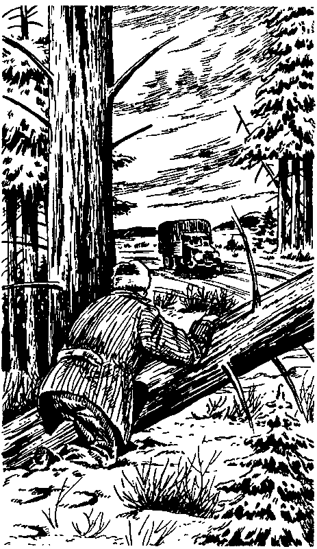 Черная моль (сборник) - pic_6.png