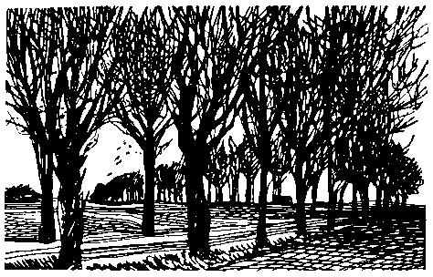 Дом без ключа - pic_62.png