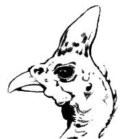 Птицы - i_034.png